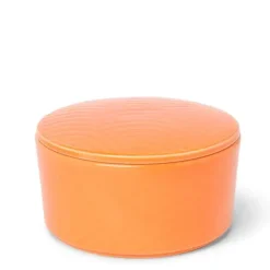 Bowl With Cover Himari Orange