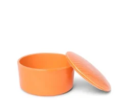 Bowl With Cover Himari Orange