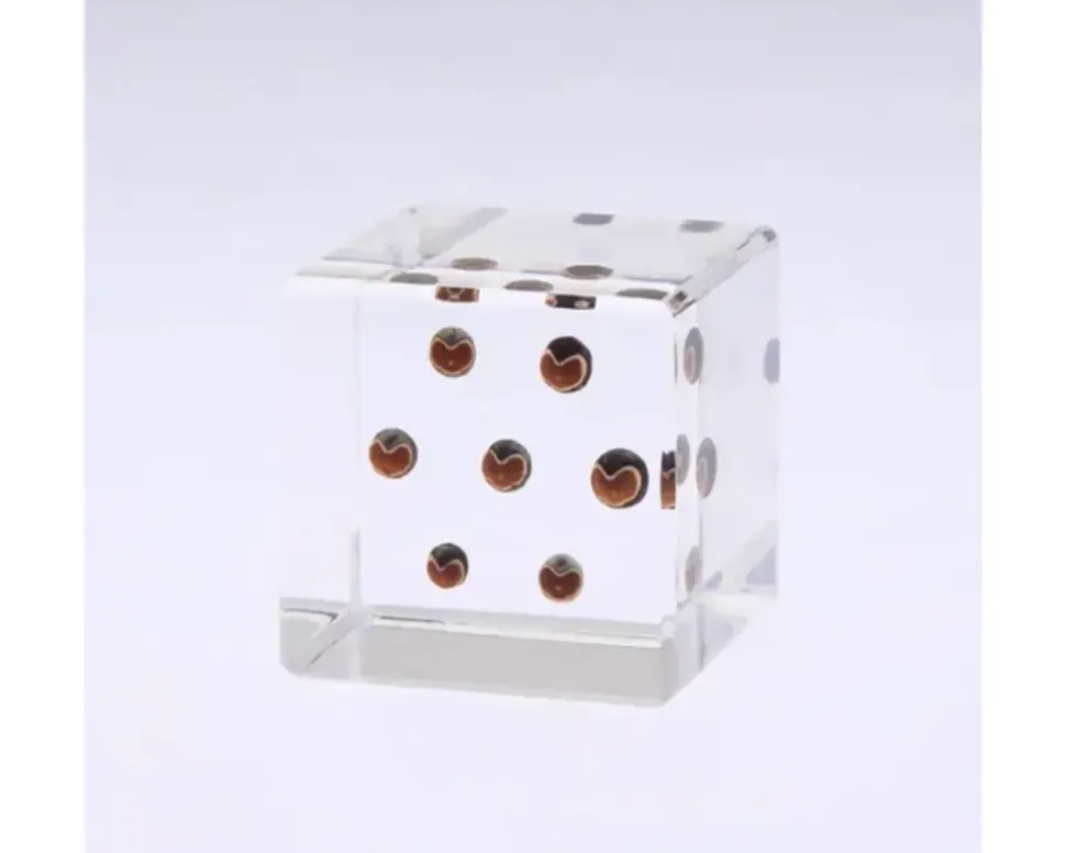 Sola Cube Balloon Plant