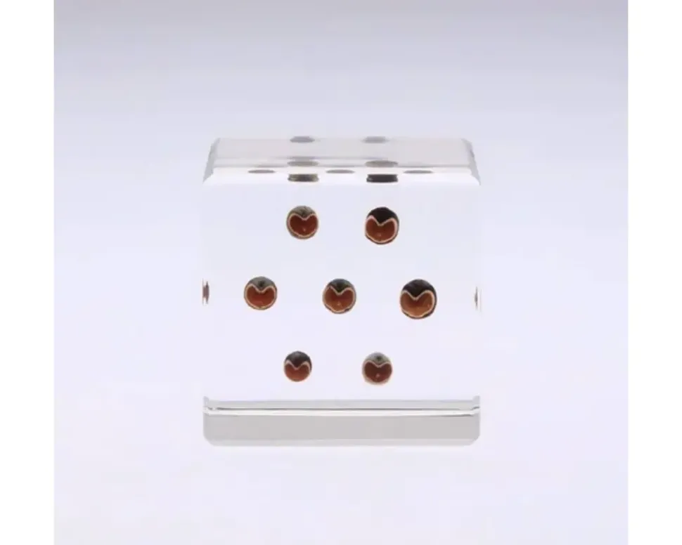 Sola Cube Balloon Plant