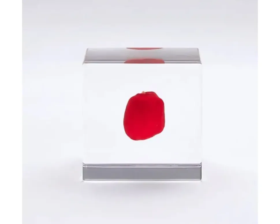 Sola Cube Huayruro Seed