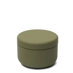 Tea Canister Petite Olive Green 30G